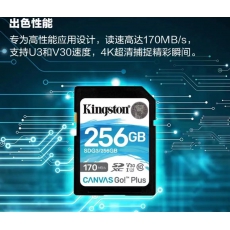 金士顿256GB SD存储卡